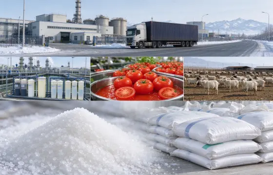 环保水处理、食品加工、畜禽养殖行业，新疆厂区仓储堆放一水葡萄糖原料，搭配污水生化设备、番茄深加工、牛羊养殖与疆内货运场景，展示葡萄糖全疆供应链业务实景。